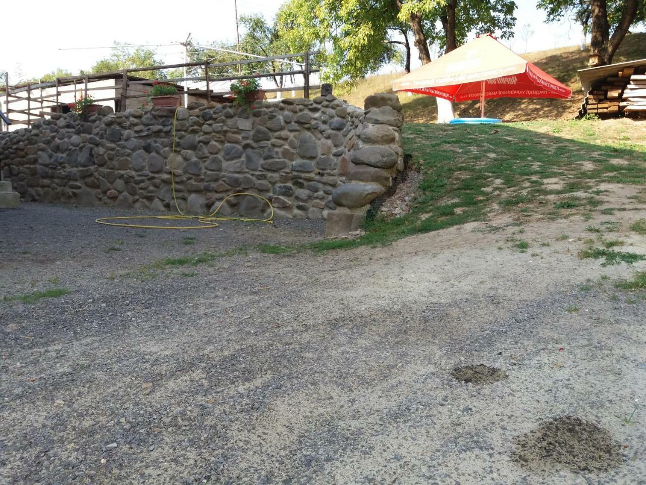 Садиба У Васі Svalyava Exterior photo